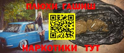 крисы Малгобек