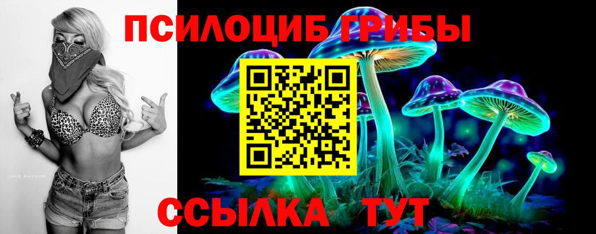 Пугачёв  Галлюциногенные грибы прущие грибы  Вход с VPN 